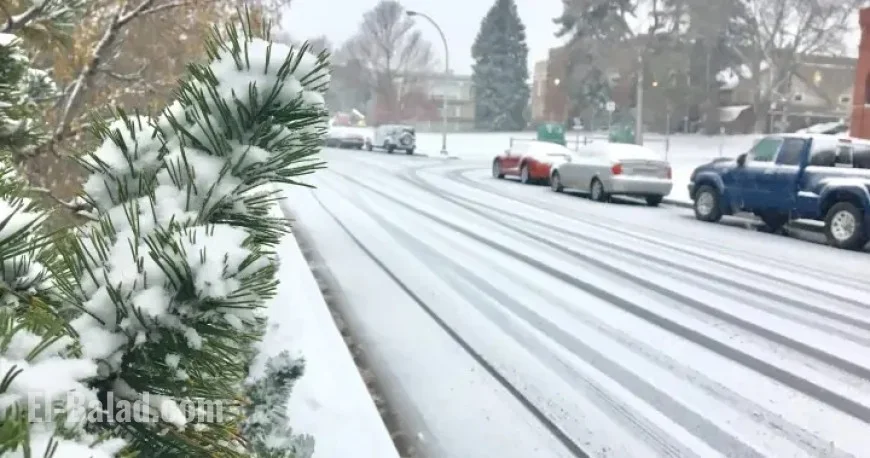 Edmonton Prepares for Overnight Rain and Snow Before Thursday Commute