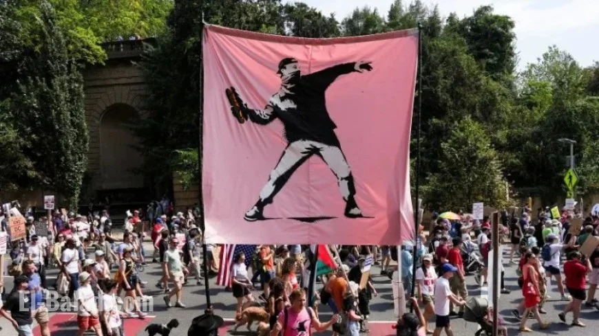 Sean Dunn Cleared of Assault in DC Sandwich Throwing Case