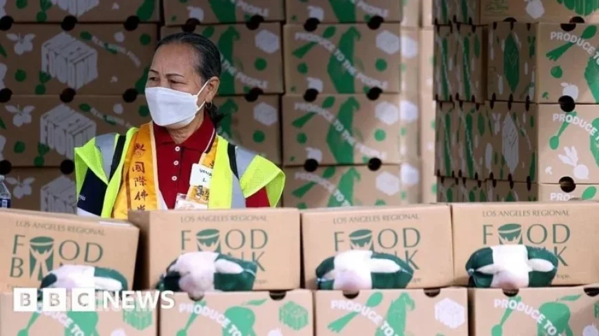 Trump Urged to Fully Fund SNAP by Friday Deadline