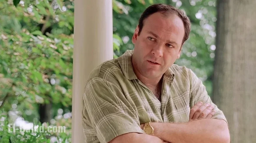 8 Reasons Watching The Sopranos is Challenging Today