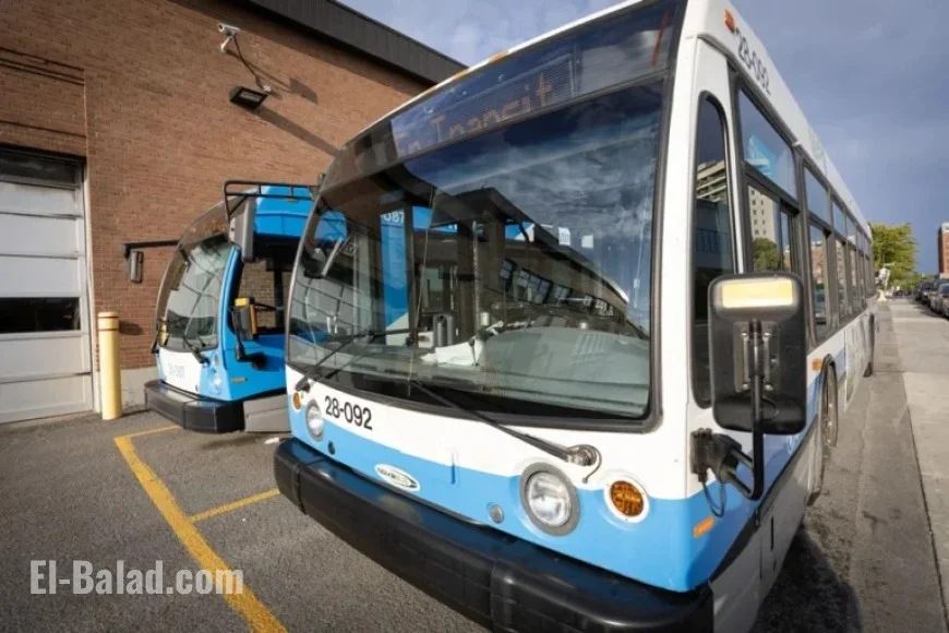 STM Strike: Bus Drivers Plan Walkout on November 15-16