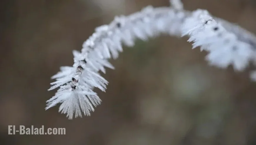 Severe Storms, Tornado Threat for Mississippi Friday; Freeze Expected Next Week