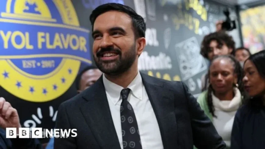 Democrats Confront Major Challenges Despite US Election Wins