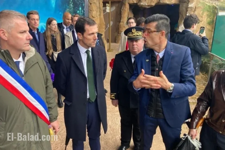 Beauval Zoo Confirms €25 Million Project for Marineland Dolphins’ New Home