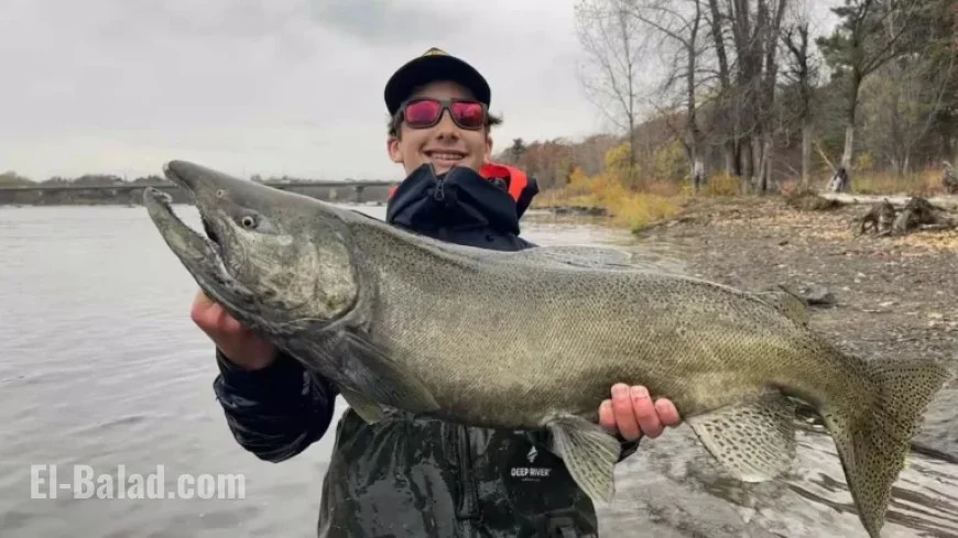 13-Year-Old Angler Catches 1-Meter Salmon in Saint-François River