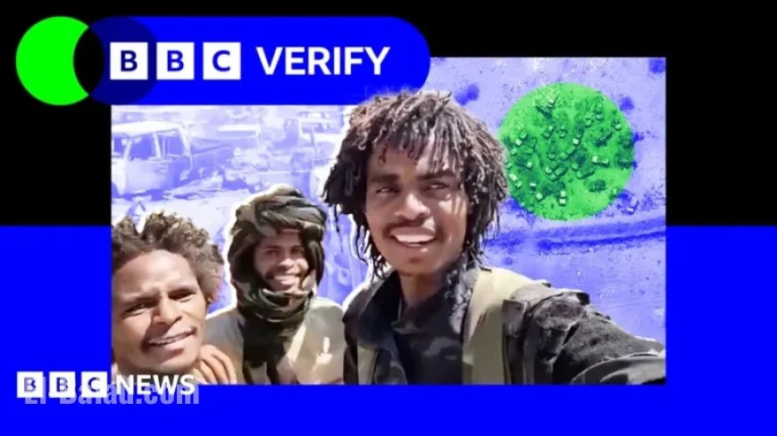 Sudan Militia Executes Brutal Massacre in El-Fasher: A Harrowing Account