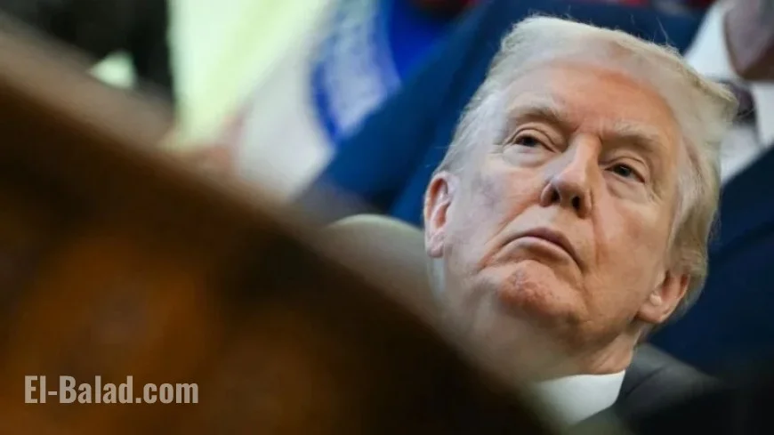 Trump Celebrates Cheaper Walmart Thanksgiving Meal Despite Reduced Items