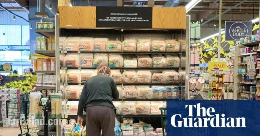 US Consumer Sentiment Plummets Amid Ongoing Government Shutdown