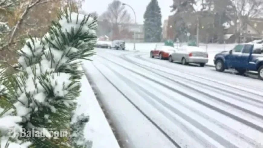 “Nuremberg Courtroom Thriller Shines, Except for Russell Crowe’s Performance”