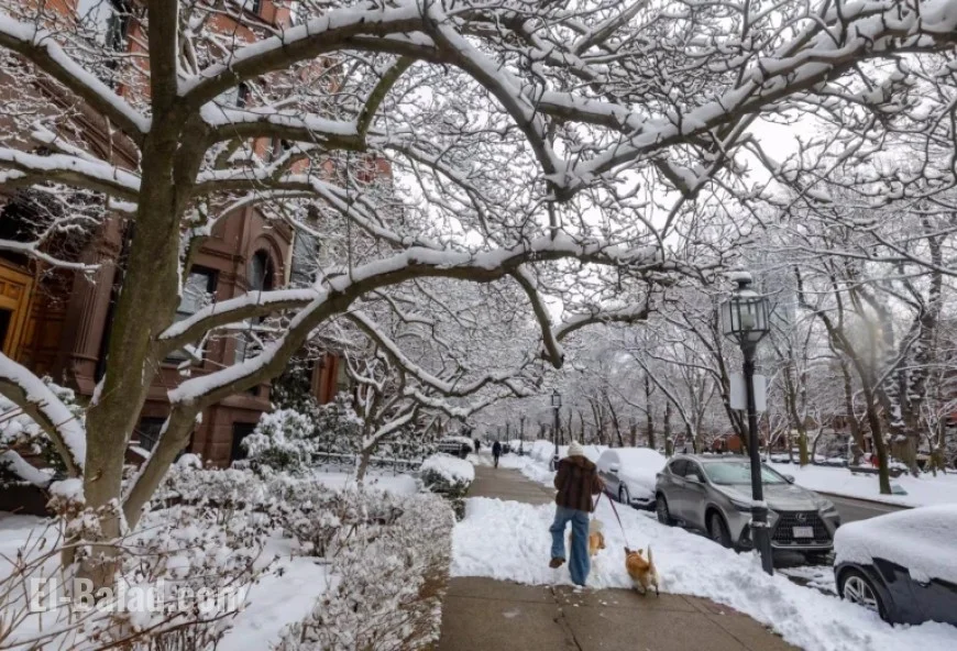 Winter Forecast: Will More Snow Bring Colder Conditions?