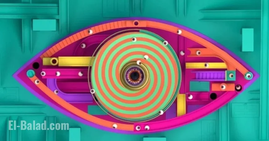 Big Brother Stars Face Setback Hours Before Live Eviction Show