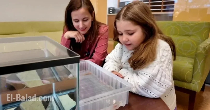 6-Year-Old Girl Saves Harvard’s Axolotl Research with Funding Boost