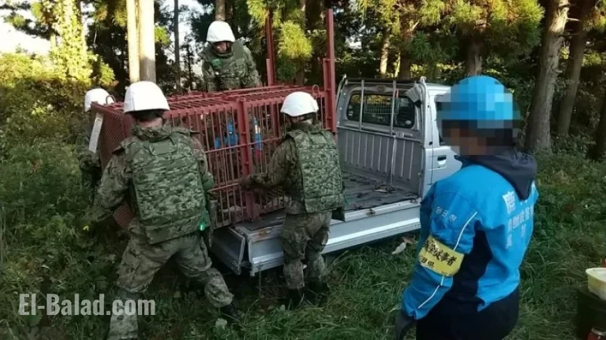 Japanese Military Confronts New Challenge: Rising Bear Encounters