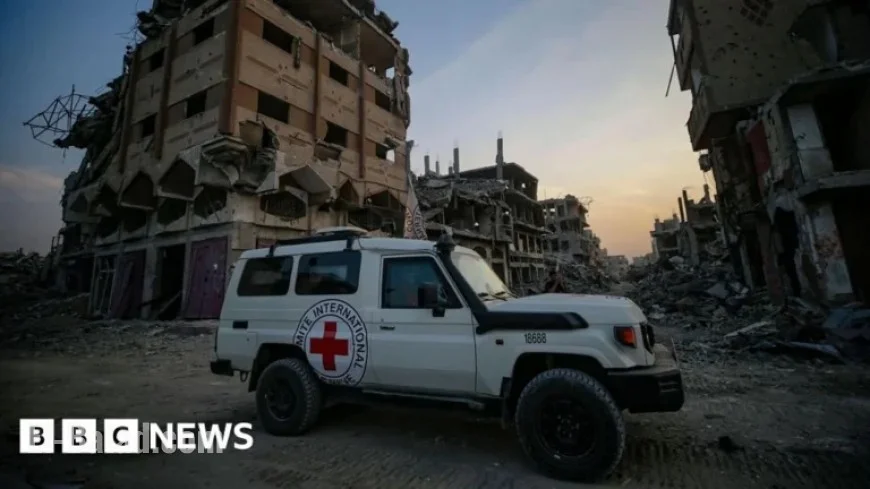 Israel Retrieves Coffin Claimed by Hamas to Hold Gaza Hostage Body