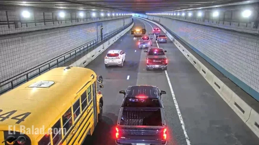 Rescue Team Saves Dog from Boston Tunnel During Rush Hour Traffic