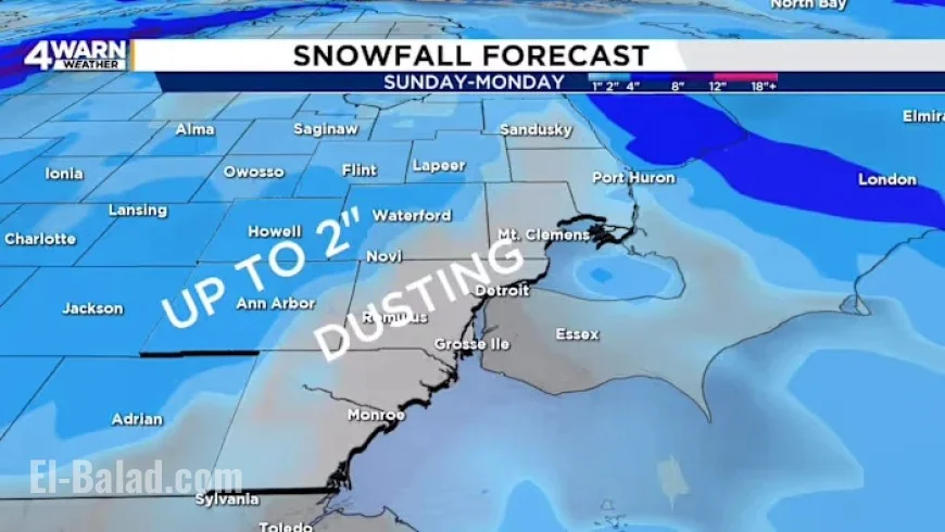 Expected Snowfall in Metro Detroit This Weekend