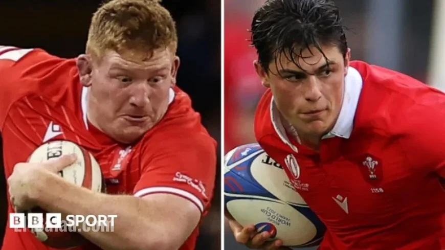 Louis Rees-Zammit and Rhys Carre Return for Wales vs. Argentina Test