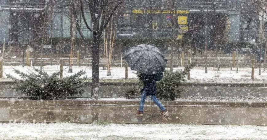 Environment Canada Forecasts Up to 10cm of Snow in Toronto Sunday