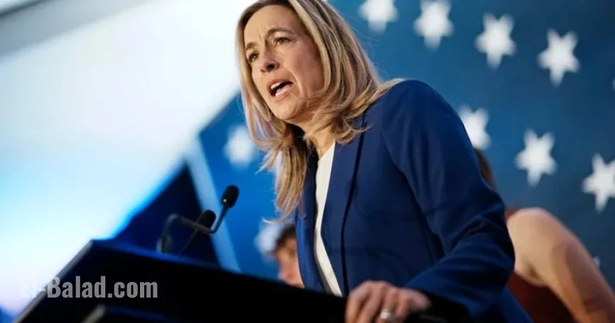 Mikie Sherrill Criticizes Excessive Caution and Mediocrity in Democratic Party
