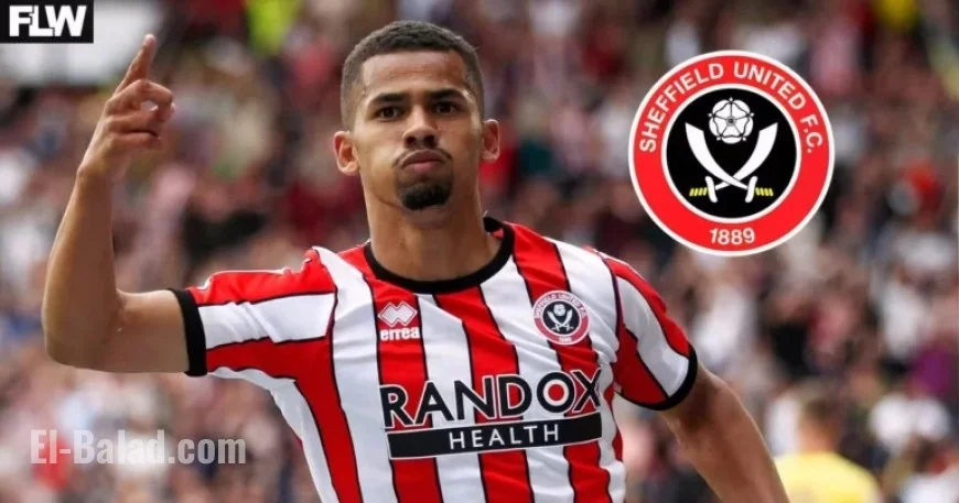 Sheffield United Gains £20m from Bold Transfer Gamble; Player Shines in Premier League