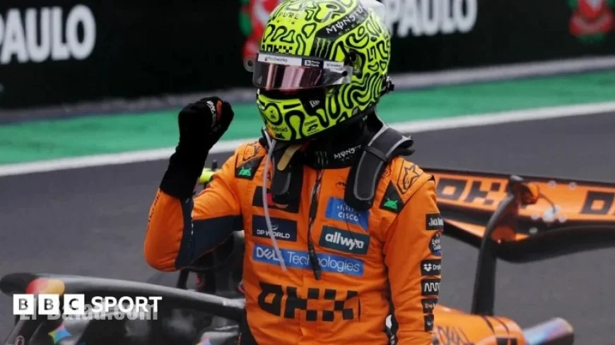 Lando Norris Triumphs in Sao Paulo Sprint Following Piastri Crash