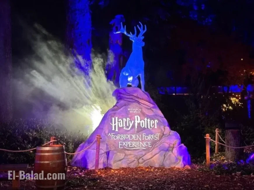 Explore Vancouver’s New ‘Harry Potter’ Experience with Exclusive Photos