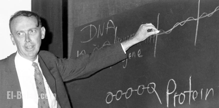 James Watson: Science Pioneer Amidst Controversy and Competition