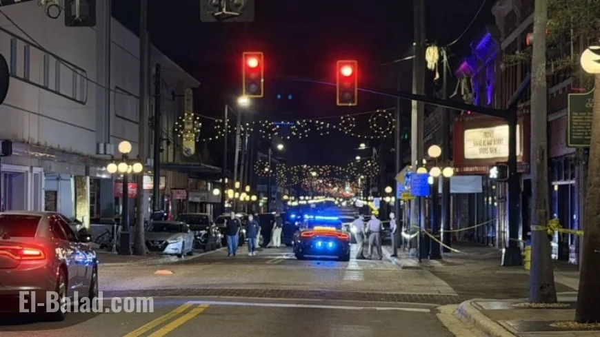 Tampa Crash Tragedy: 4 Dead, 11 Injured