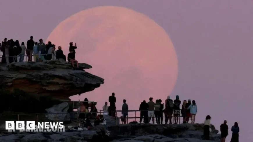 Global Viewers Captivate by Beaver Supermoon Phenomenon