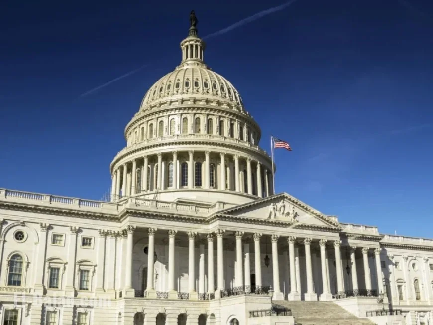 Stocks Rebound Amid Optimism for Government Reopening