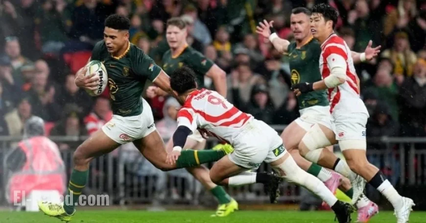 France Aims for Revenge Against Springboks; All Blacks Clash with Scotland