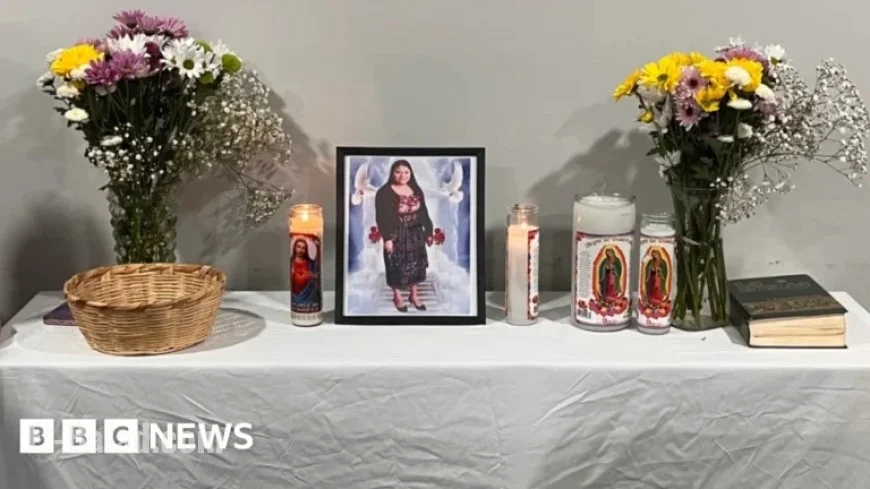 US Cleaner Fatally Shot After Mistakenly Arriving at Wrong Home