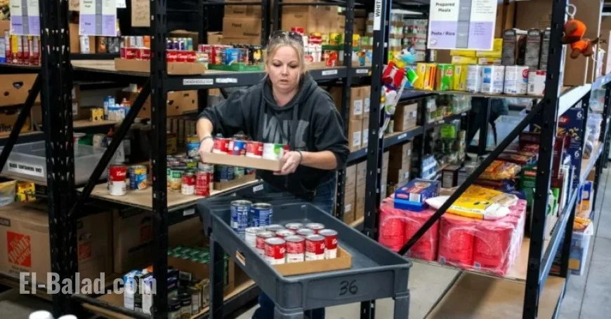 Minnesota Restores Full November SNAP Benefits for Families in Need