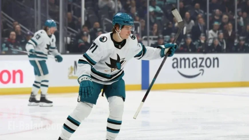 Celebrini Shines in Social Media Buzz