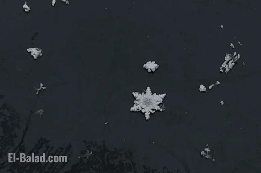 Where and When to Expect Snowflakes in Alabama