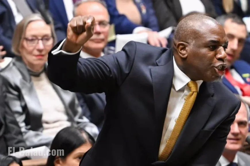 Should We Choose White Poppies as Performative Red Wearing Becomes Toxic?