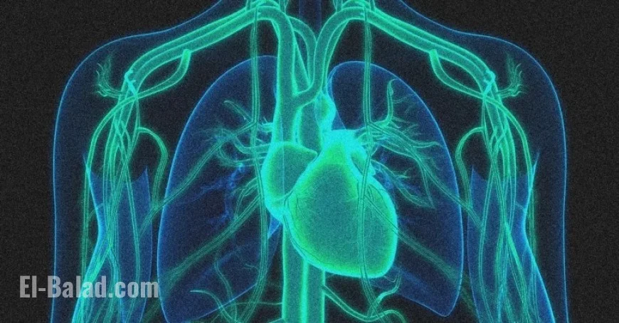 Gene Editing Therapy Halves Cholesterol Levels