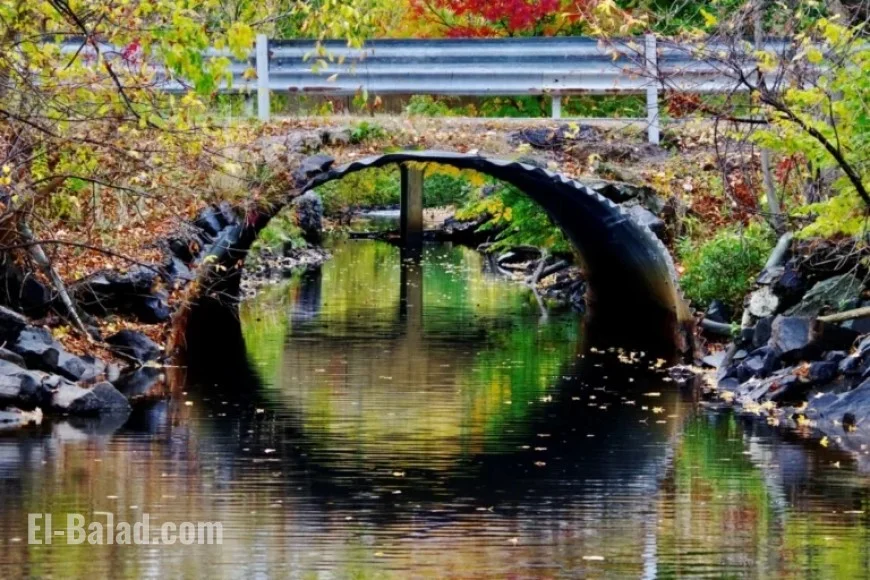 North Bay’s Morning Weather Update: Today’s Forecast