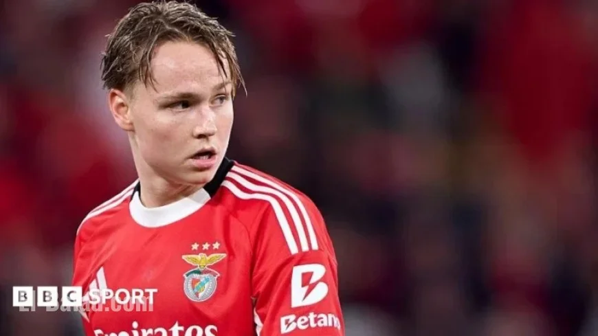 Norwegian Footballer Andreas Schjelderup Faces Conviction for Sharing Illegal Video