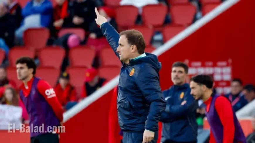 Son Moix Anticipates Thrilling Roller Coaster Event