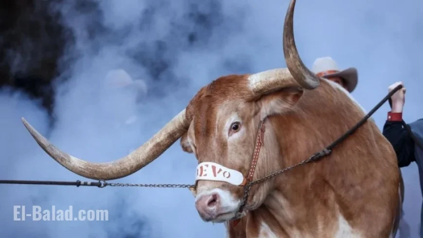 Texas Climbs Back to Top 10; ACC Secures Five Poll Spots