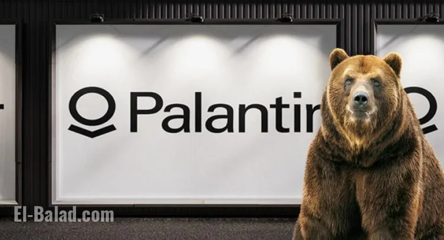 Investor Warns of Imminent Collapse for Palantir Shares
