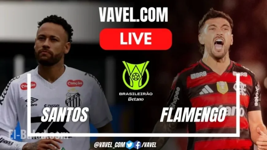 Live Score Updates: Flamengo vs Santos (0-0)