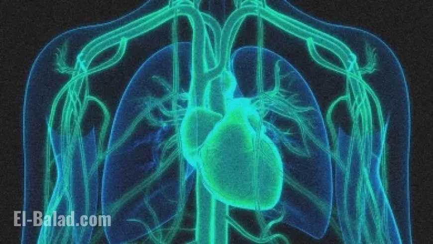 Millennial Entrepreneur Returns to Work After $532M Business Sale Proves Boring