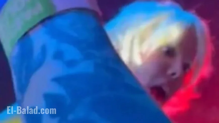 Fan Causes Uproar by Groping Pop Star During Concert