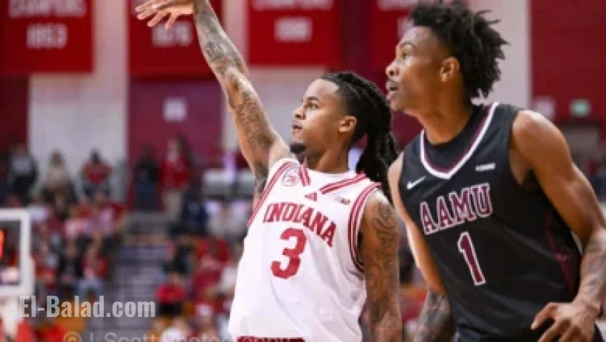 Rainfall Helps Control Tongariro Blaze with No Visible Fire Signs