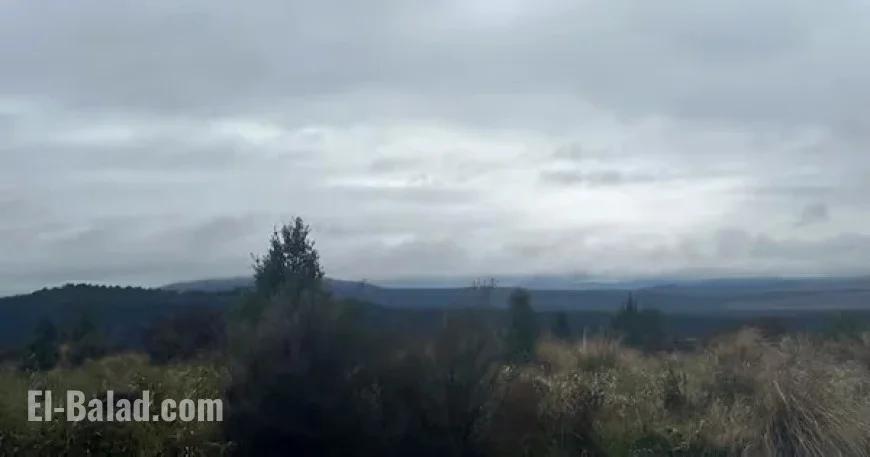 Fire Crews Combat Tongariro Blaze with Notable Progress