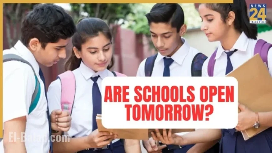 Schools Closed November 11 Due to Elections, Poor AQI, and Rain in These States