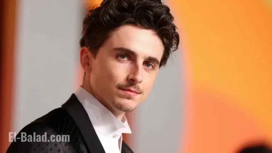 Timothée Chalamet Rejects TV Roles, Disappointed by Oscar Loss