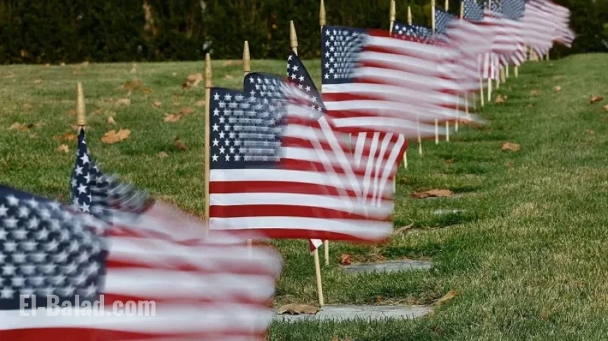 2025 Veterans Day Offers: Free Meals and Restaurant Discounts